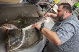 picture of chef cutting large fish