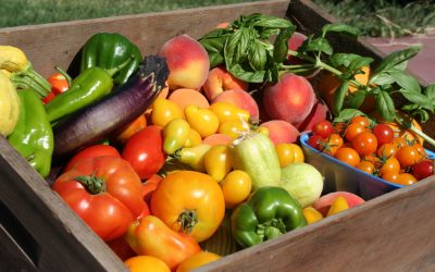 Diversify Your Plate with Unique Summer Produce