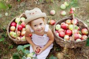 Child smiling sitting in front of two baskets of apples