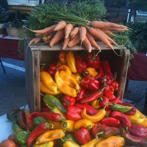 Table display of carrots and peppers from Lydia's Field at Wheatland