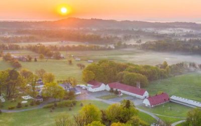 Exploring Agritourism: A Thriving Industry in Virginia and Beyond